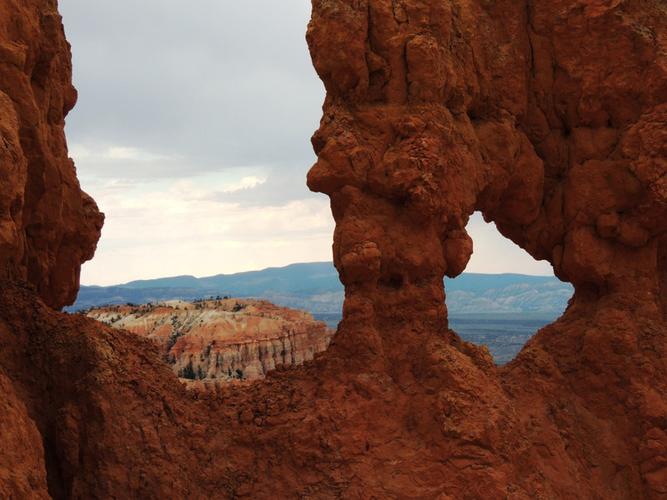只能躺到这了!亚利桑那无缘决赛 “啦啦队员”布莱斯大一结束!