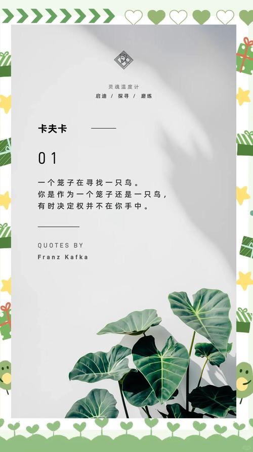 小卡:加兰性格外向&爱开玩笑 他与大家相处融洽&总能带来正能量