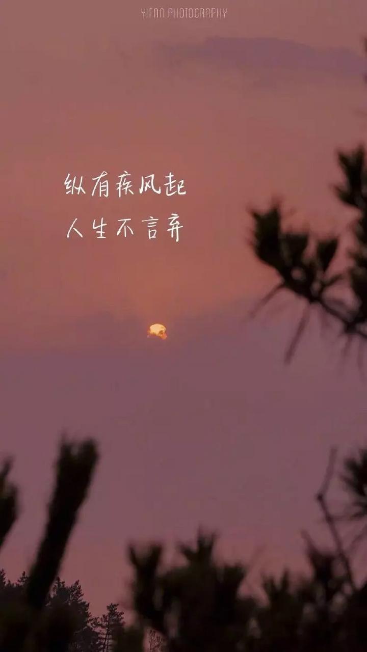 帕夫洛维奇:我们的表现或许不足以带走3分,但也不至于输球