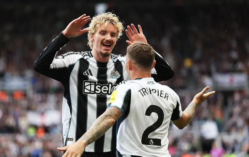 纽卡名宿：买维萨和沃尔特马德都是恐慌引援，其他新援也表现一般