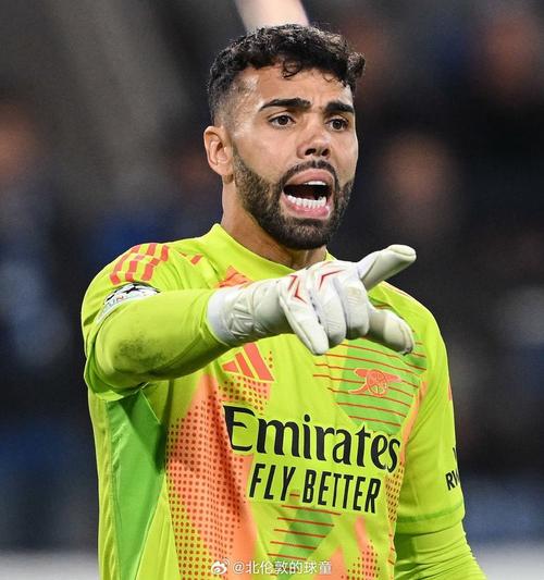 泰晤士报:大卫·拉亚如今已是世界最佳门将?