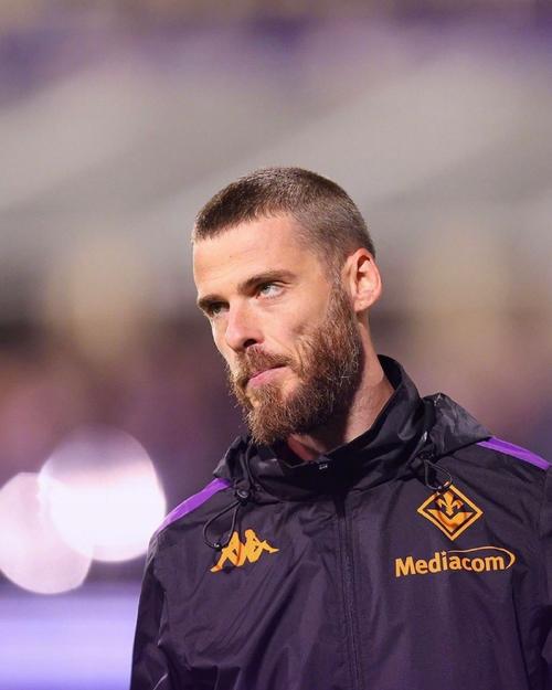 德赫亚：拉亚效力英超关注度确实低，西班牙海外门将也值得赞誉