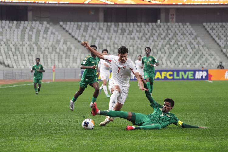 官方:3位沙特裁判将执法世界杯,沙特裁判时隔16年重返最大舞台