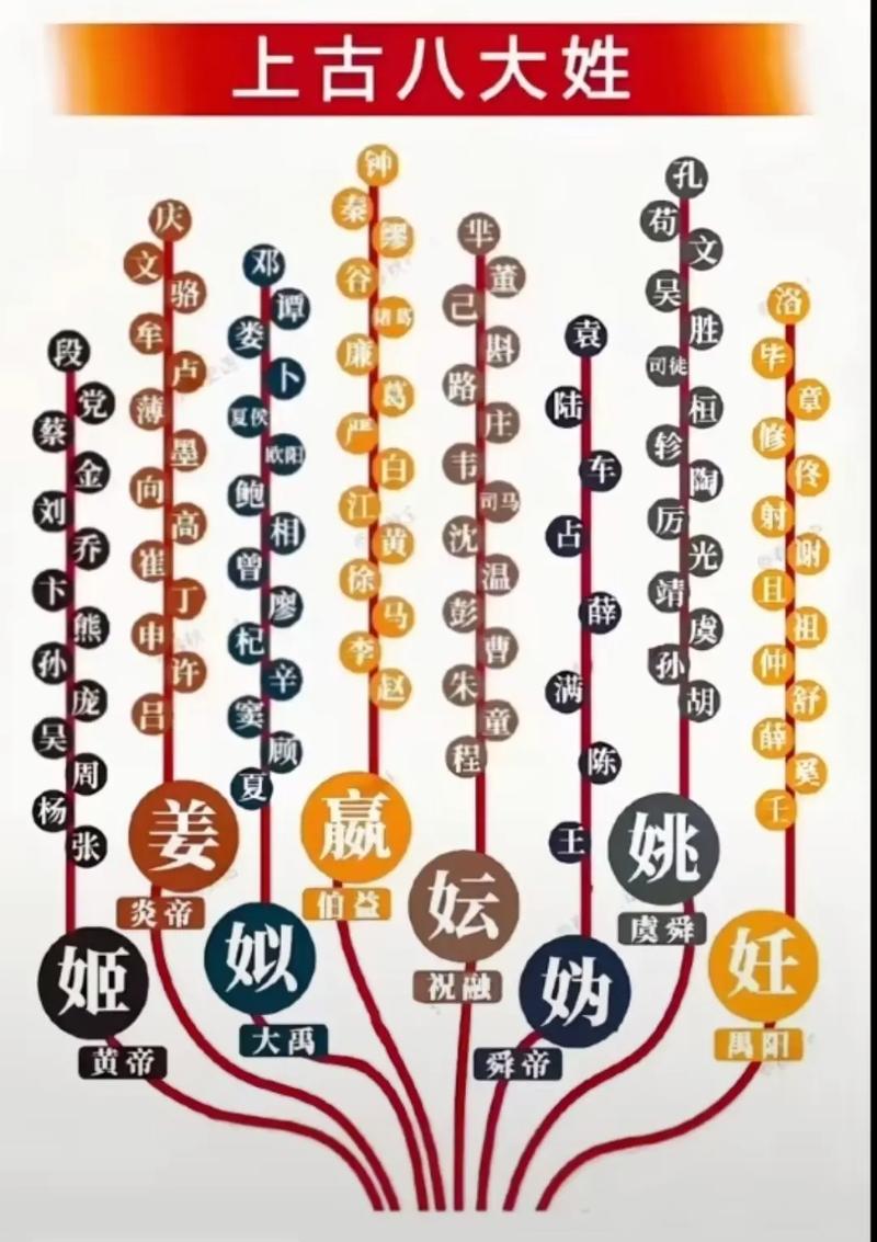 媒体人：现在改个姓名都很难 改年龄改姓氏了到底怎么做到的？