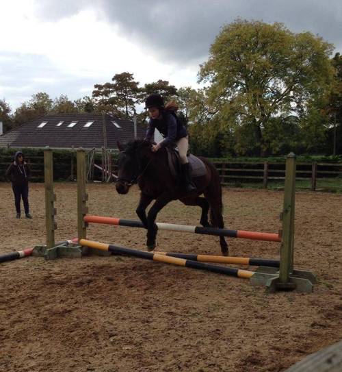 得分皆生涯新高！谢尔曼砍下30分7板7助2断 哈珀砍27分7板4助3断