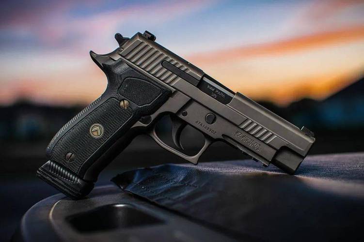 又是“春来崩溃时”？枪迷持续二十多年的PTSD，还有治愈的希望吗