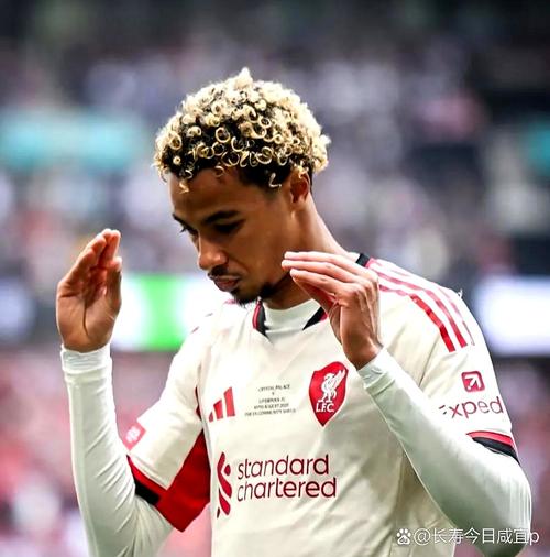 队报：埃基蒂克可能无缘世界杯+杜埃受伤，法国队面临困扰