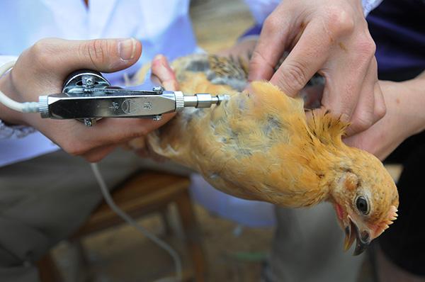 朱艺谈滥用脑震荡换人:应明确队医责任,从医学角度增加滥用成本