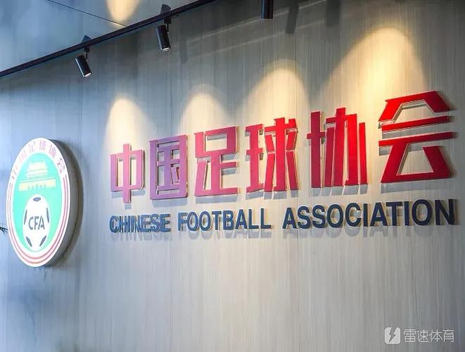 马德兴:评议小组描述不严谨给自己找麻烦,追罚曾用过第三方视频