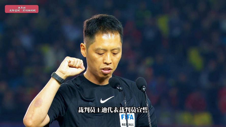 直播吧：国际级裁判员王迪主哨今晚中超浙江vs北京国安