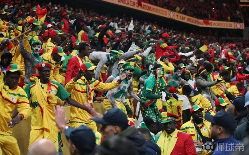 法媒：非洲杯决赛后时被捕的4名球迷获释 3个塞内加尔人1个法国人