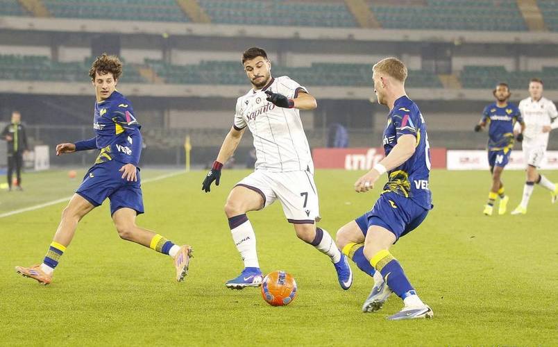 维罗纳前锋奥尔班为打架公开道歉：我没有尊重球迷，承担全部责任