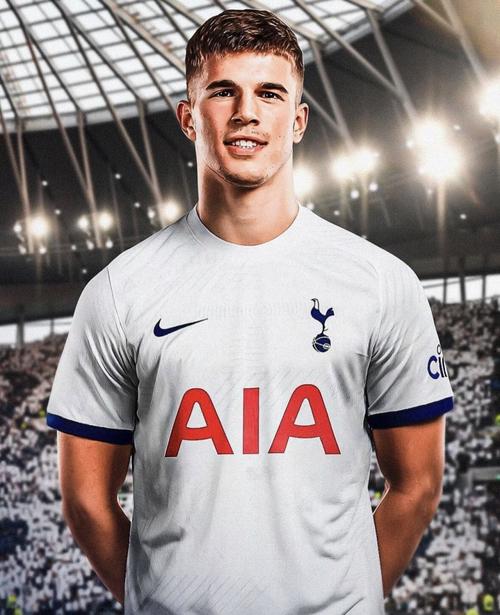 图片报：汉堡保级急需武什科维奇伤愈复出，但决定权在热刺